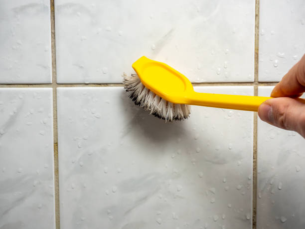 Best Black Mold Remediation in Alb, IA